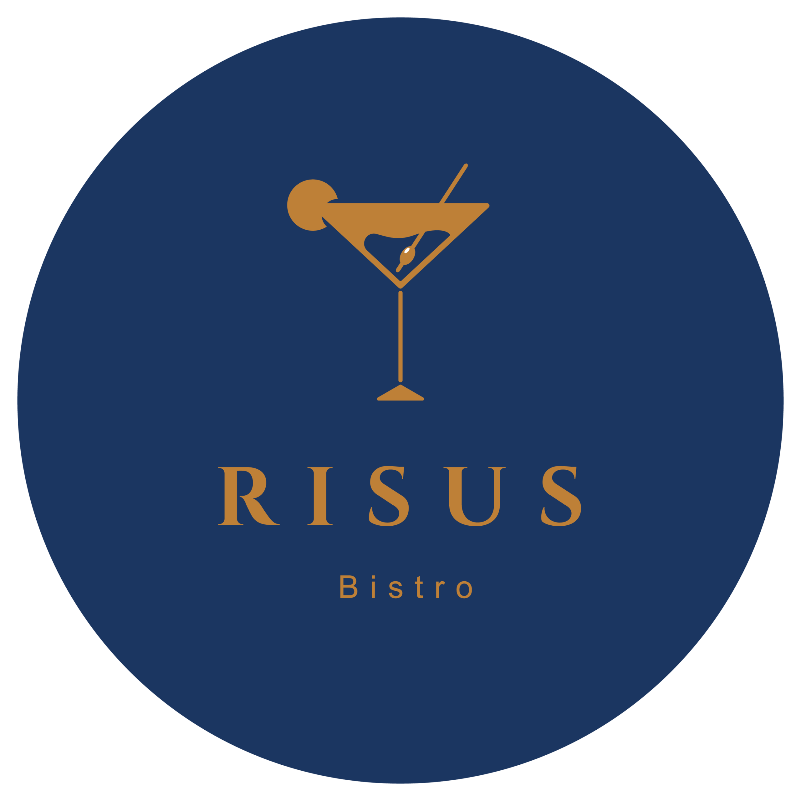 imgi 192 RISUS LOGO kopya scaled